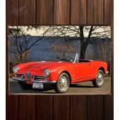 Металлическая табличка Alfa Romeo Giulia 1600 Spider